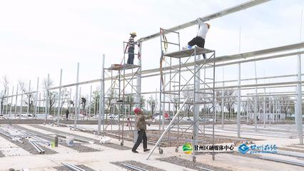 有机蔬菜产销两旺 铺就乡村振兴“致富路”——甘肃甘州发展育苗基质加工新模式