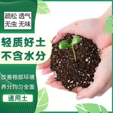 优泥炭土与草炭土 花卉育苗基质加工的优质选择