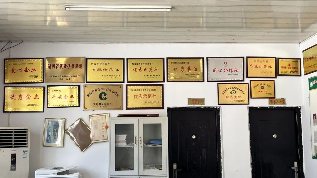 金统院 “黄土地”变“金土地”——湖大金统院学子对话张家界桑植县金土地公司代表 育苗基质加工
