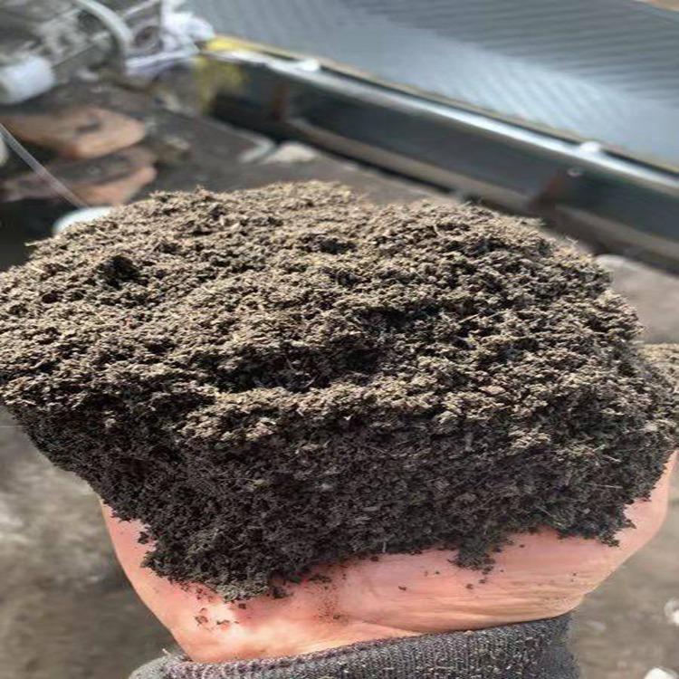 优泥炭土与草炭土在花卉育苗基质加工中的应用与设备选择