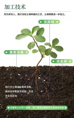 多肉盆栽扦插蔬果花卉草莓西瓜水稻育苗基质泥炭通用型营养土